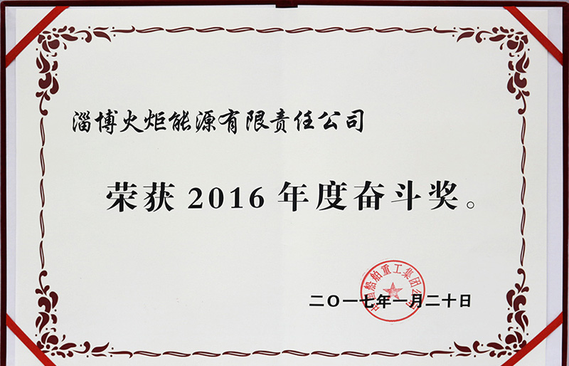 2016年度奮斗獎(jiǎng)